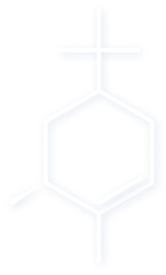 Tutti i dettagli sul sobrerolo